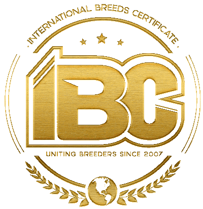 IBC Dogs Logo